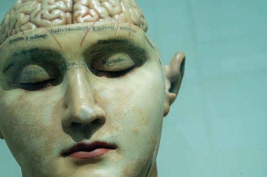 L'immagine di una statua con gli occhi chiusi e il cervello in mostra, data l'assenza di calotta cranica, per dimostrare che la malattia mentale ha delle basi e dei sintomi fisici
